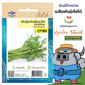 CHIATAI 🇹🇭 ผักซอง เจียไต๋ O161#ผักบุ้งแก้วเย็นตาโฟ ซองประมาณ 230 เมล็ด เมล็ดพันธุ์ผัก เมล็ดผัก เมล็ดพืช ผักสวนครัว