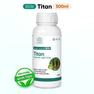 Phân Bón Lúa BS36 Titan Chống Đổ Ngã - Xanh Lá Ngắn Lóng Cứng Cây Không Nghẹn Đòng - Bác Sĩ Cây Xanh