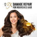 Pantene Daily Moisture Renewal Shampoo 300ml. 