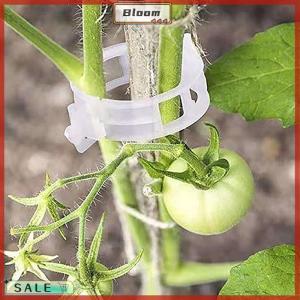 Follow Get New[Bloom Z] 100Pcs Secured Plastic Plant Clip Upgrade Plant Support Clips Garden Clips For Climbing Plants Support Clips Plant Fixing Clips