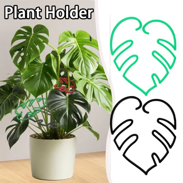 2/6Pcs Plant Support Monstera Leaf Shape Flower Holder for Vertical Growth  Easy Install Stem Holder for Indoor Outdoor Potted Plants | Lazada PH