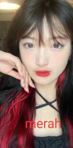 TOKO MUMER HAIRKLIP rambut palsu hair clip warna rambur warna wig jepit extension highlight rambut sambung H003