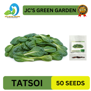 VALUE PACK (50 SEEDS) TATSOI/GREEN ROSETTE BOKCHOY/EASY TO GROW/EASY TO PLANT/HYBRID/FOR PLANTING