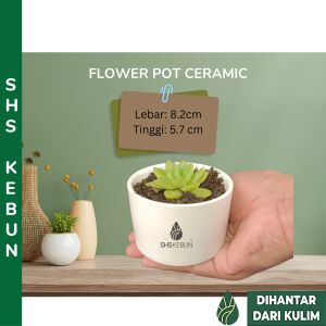 Succulent Pot Plant Pot Flower Pot Ceramic Pasu Bunga Seramik 花盆陶瓷 SHS KEBUN