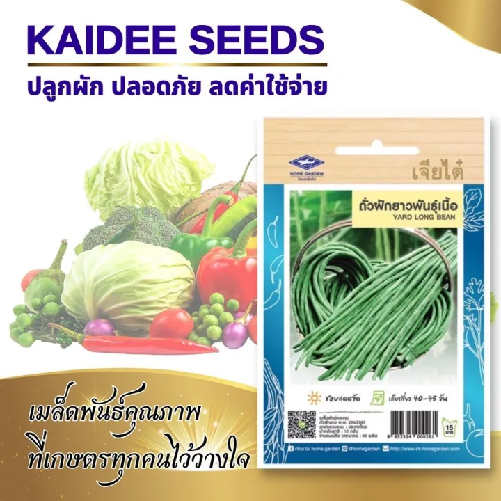 เมล็ดถั่วฝักยาว ตราเจียไต๋ YARD LONG ฝักยาว เก็บเกี่ยวเร็ว