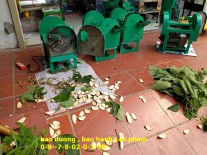 Máy thái thu.ốc nam máy có 2 chức năng băm lát và thái khúc