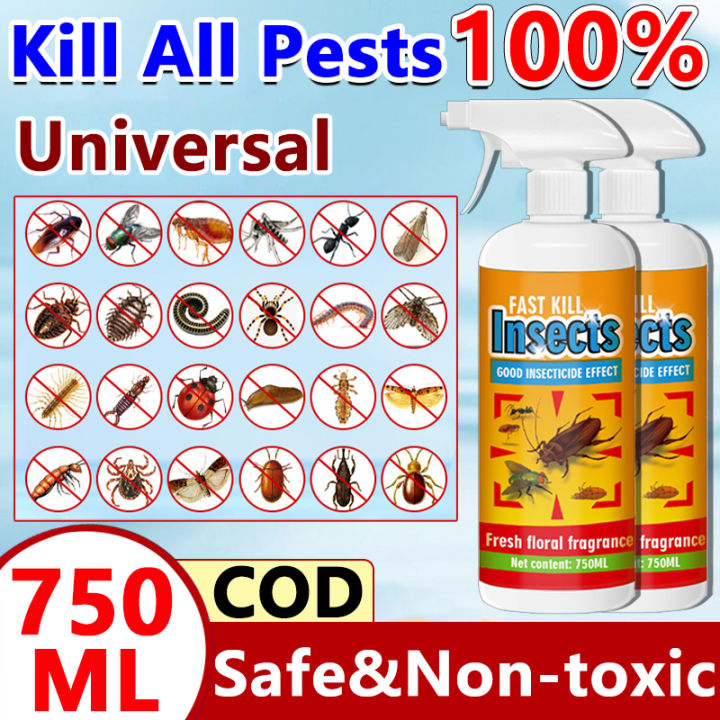 【Kill All Pests】Insects killer spray 750ml Insecticide spray for home ...