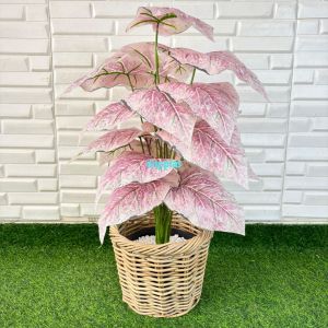 Pohon Hias Tanaman Artificial Calladium Pink Full X18 Semilatex Cover Pot Rotan Bulat Dekorasi Sudut Cafe