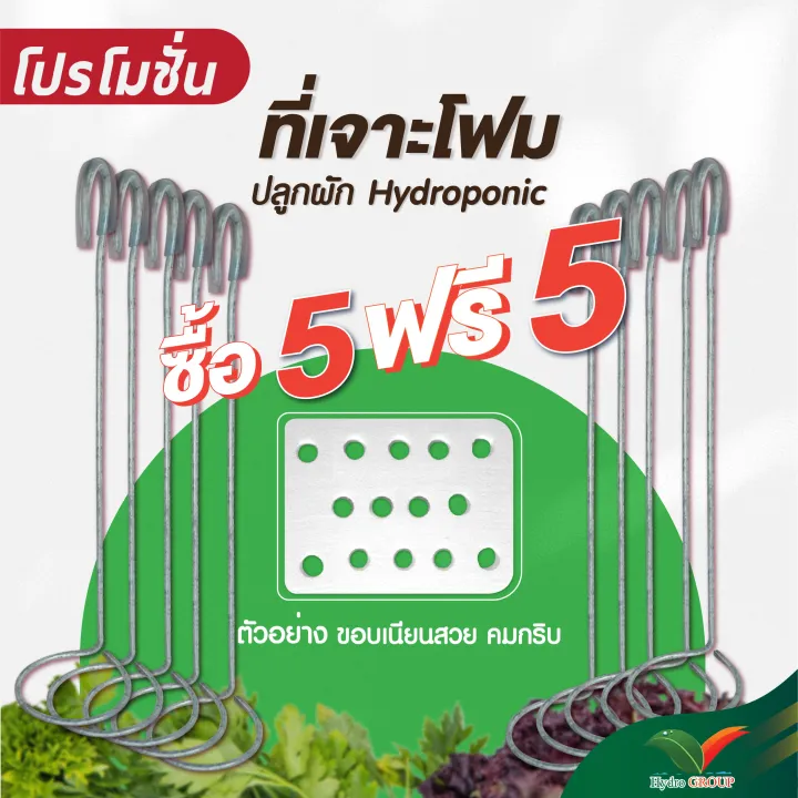 ที่เจาะโฟม hydroponicgroup สำหรับปลูกผักไฮโดรโปนิกส์