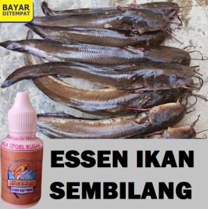 Essen Untuk Mancing Ikan Sembilang Sigacor Siap Pakai Isi 30ml