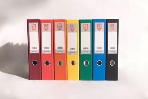 Lion 3 Inch F4 Lever Arch File/Ring Binder File Premium PP/PP Colour