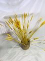 Bó khoảng 85 đến 95 Bông Lúa Mạch Màu Tài Lộc - Hoa Chưng Tết - Trang Trí Decor Xinh Xắn Và Độc Đáo/ Nhiều Màu Sắc Để Lựa Chọn. 