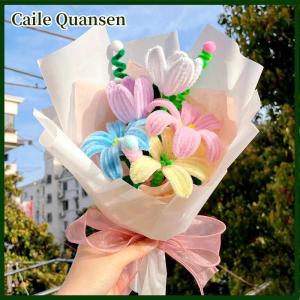 Caile 100PCS Colorful Chenille Stem Twisted Rod Wool Root Fluffy Bar Iron Wire DIY Handcraft Twisting Decorations Pipe Cleaners Plush