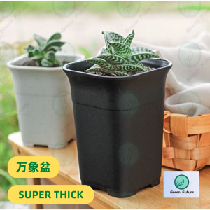 Square Thick Tall Plastic Pots succulent pot cactus flower pot 方形万象盆花盆 万象盆 多肉花盆 植物花盆 花盆 塑料盆 盆 小花盆 彩色花盆