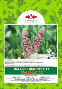 Hạt giống ngô (bắp) nếp lai F1 TÍM HOA 35 Hai Mũi Tên Đỏ gói 500gram