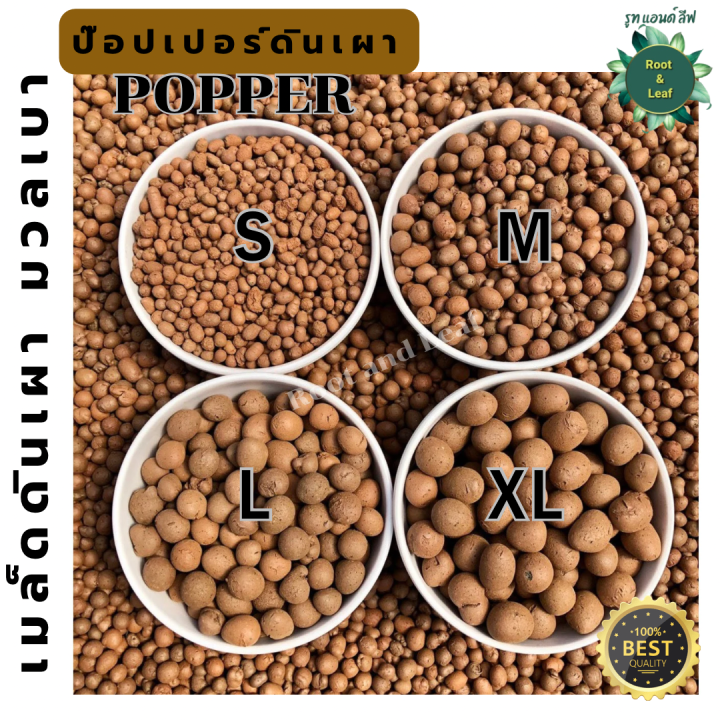 10 อันดับ เม็ดดินเผามวลเบา (Popper) ยี่ห้อไหนดี? อัปเดตปี 2025 สำหรับคนรักต้นไม้