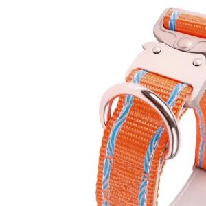 Adjustable Anti‑EscapeCollar with Buckle for Outdoor Walking Dog Leash Dog Rope for Dogs and Cats Neck Ring2026