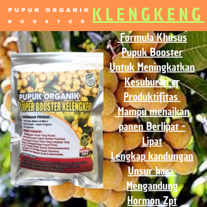 Pupuk Klengkeng Berbuah lebat Pupuk Booster klengkeng Pelebat Buah klengkeng tidak rontok Rasa Manis