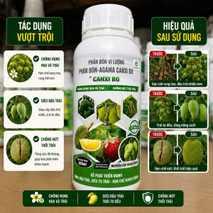 Siêu Canxi Bo 500ml hết rụng trái rụng hoa thối trái kích ra hoa đậu quả dai cuống cứng cây xanh dày lá