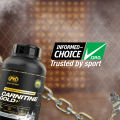 PVL Carnitine Gold+, L- Carnitine Supplement, Metabolic Energizer for Fat Burning, Rapid Absorption, 228 Vege Caps. 