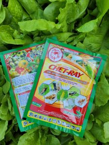 [VTNN TIEN KHOA] CHET-RAY 140WP chuyên trừ rầy xanh sầu riêng rầy nâu lúa 3 hoạt chất gói 100gram