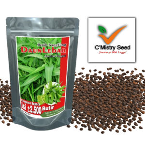 Benih Bibit Kangkung Daun Lebar Kemasan Repack 100 gr isi sekitar 2500 butir kualitas terjamin