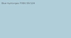 ((100% ORIGINAL))《DULUX Inspire Durable Exterior 》 Paint Blue Colour ／／ Cat Warna Biru ／／ 蓝色