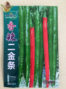 500seeds/pack High Yielding Red and Green Long Chilli Seeds for Planting - A693