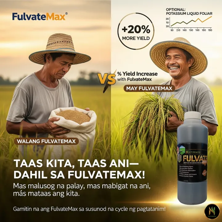 FulvateMax%20Organic%20Foliar%201%20liter%20per%201%20hectare%20Palay/Mais/Talong/Kamatis/Sili/Amplaya%20at%20iba%20pa%20-%20Image%209