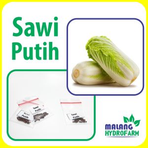 Benih Sawi Putih Unggulan berkualitas biji bibit hydroponik sayur sayuran hidroponik petsai cina china korea