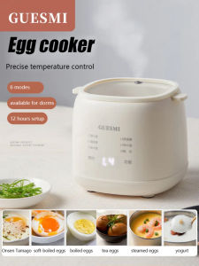 Automatic double-layer Egg Cooker Egg Steamer Multi-function Breakfast Machine Egg boiler steamer