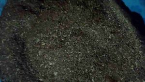 ใบก้ามปูหมักร่อน ใบก้ามปูร่อน 1 กิโลกรัม