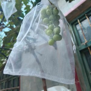 PL 100pcs Vegetable Plant Protection Bags Mesh Breathable Grapes Fruit Grow Bags Creative Generic White Plant Grow Bag Garden Tools