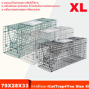 กรงดักแมวCatTrap4You Size XL เหล็กเส้นชุบกาวาไนท์กันสนิม สามารถพับได้ จับแมวจรจัด จับแมว ดักจับแมว ดักจับแมวจร ไล่แมวถาวร ปลอดภัยต่อคนและสัตว์ ใช้งาน จับได้จริง ไล่แมวแบบถาวร แข็งแรง ทนทาน ทนแรงกระชาก กรงแมว กับดักแมว