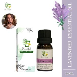 Scentiful Pure and Natural Lavender Essential Oil 10ML ( Imported From France )