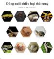 Hộp nuôi bò sát trong suốt 2 cửa kéo - Hộp nuôi ếch, nhện, bò sát, trăn, rắn, chuột, thằn lằn, tắc kè,.... 