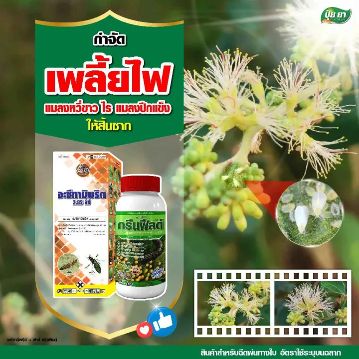 ชุดกำจัดเพลี้ยไฟ อะซีทามิพริด + กรีนฟีลด์ สำหรับแมลงหวี่ขาวและไร