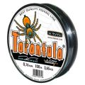CƯỚC TARANTULA CON NHỆN. 