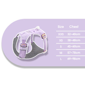 HamshMoc Pet Vest Breathable Mesh Adjustable Straps PVC Buckle Outdoor Walking