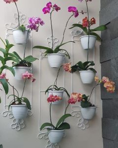 STANDING POT DINDING ANGGREK + BONUS POT / RAK BUNGA BESI TEMPEL DINDING MURAH