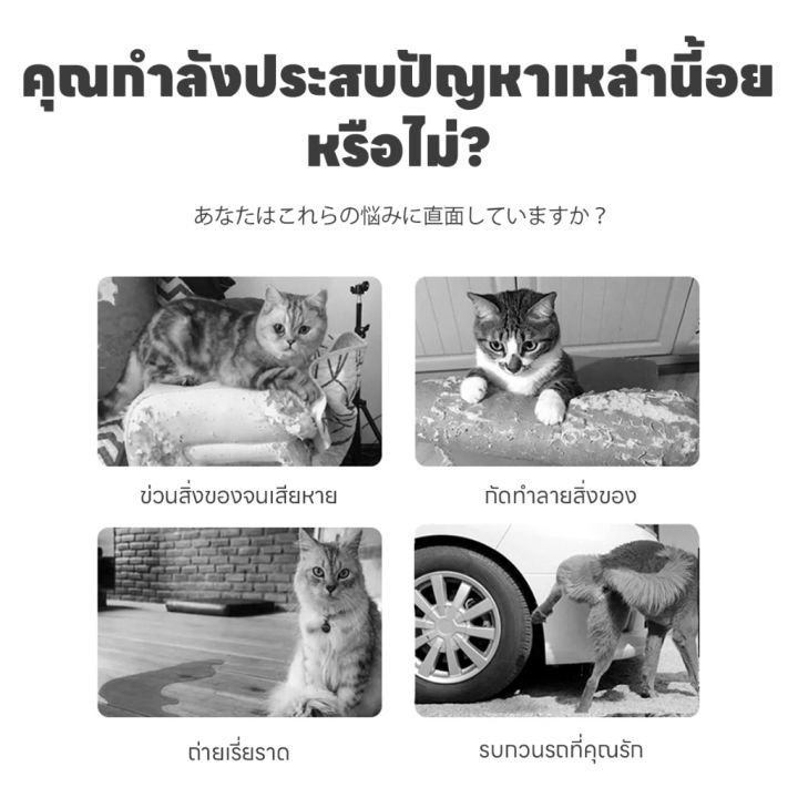 🐱100 เมตรไม่มีแมว🐱ก้อนไล่แมว กลิ่นไล่แมว ที่ไล่แมว ยาไล่แมว ขับไล่แมว ...