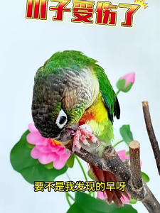 4PCS Parrots Perch Chew Toy Resin Bird Cage Accessories For Beak Nail Trimming And Play