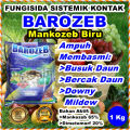 Barozeb 1 Kg Fungisida Kontak Sistemik Mankozeb Plus Silika Dimetomorf Mancozeb Biru Obat Pembasmi Hama Jamur Tanaman Cabe Buah Bunga Sayur. 