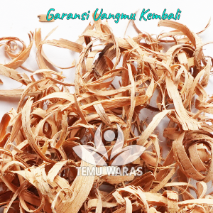 Widoro Laut Kering 1kg Bersih dan Organik