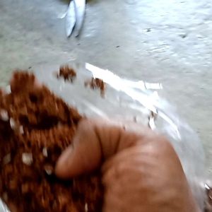 Cocolite Cocopeat with perlite premixed/Hydroponics Aquaponic Planting medium/Suitable for all kind of soil mixing