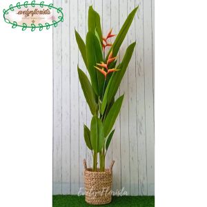 Pohon Hias Daun Pisangan Heliconia Bunga Bird Of Paradise T165 Latex Artificial Pot Dasar Cover Eceng Gondok Handle Medium Dekorasi Rumah Aesthetic