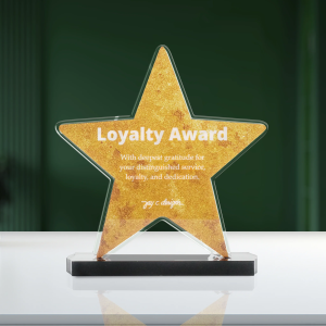ACRYLIC PLAQUE - ACRYLIC TROPHY FOR AWARDING - STAR OF EXCELLENCE AWARD - CUSTOMIZED PERSONALIZED JAY C. DESIGNS - 8009