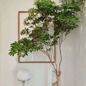 LZD  Drunk Horse Hydroponic Selected Plants Fresh Cut Branch Bell Indoor Decorative Greenery Sf