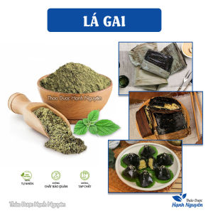 Bột lá gai nguyên chất 100g (Bột làm bánh ít lá gai bột tạo màu tự nhiên) - Thảo Dược Hạnh Nguyên