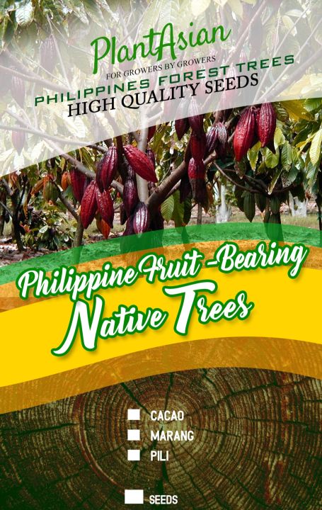 AGOHO TREE SEEDS 30 PCS | Lazada PH